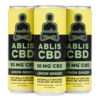 Lemon Ginger - 12-Pack