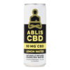 Lemon Water - 12-Pack - Image 3