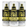 Lemon Water - 12-Pack