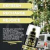 Lemon Water - 12-Pack - Image 4
