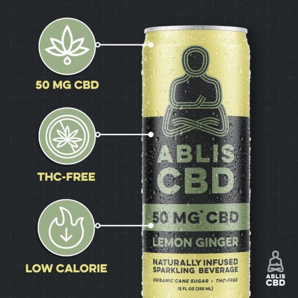 Lemon Ginger - 12-Pack - Image 4